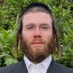 Cllr Eluzer Goldberg (Lab)